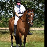 nyomiee.showjumping