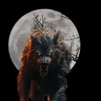 wolf.fenris