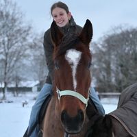 equestrian.077