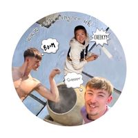 the_professional_idiots