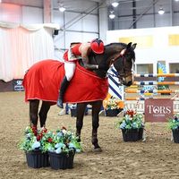 cdt_equestrian