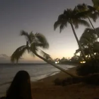 original sound - ssxpf2