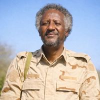 الصوت الأصلي