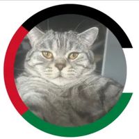 ruzi.kaya