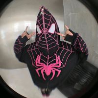 spider_k_ivi