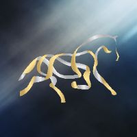 origineel geluid - Jumping Mechelen