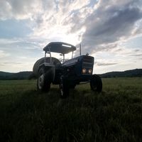 t_mankoc_7
