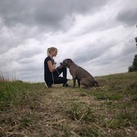 americanbully_kira