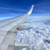 tiktok_airlines777