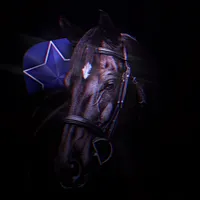 original sound - equestriaan_editzzz