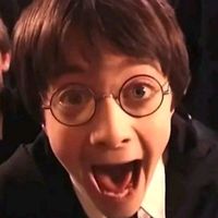 harry.potter.love.nr.1