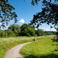 πρωτότυπος ήχος