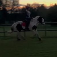 xmy.horsey.adventuresx