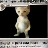 elpanamiguelxd1