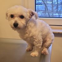 chikabella56tiktok.comch