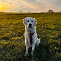 thegoldie.yuna