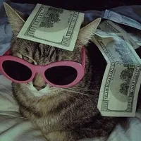 original sound - that.dam.series