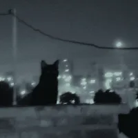 original sound - .beau78