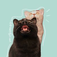mugumeow