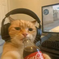 original sound - everythingyouneed369