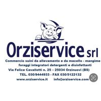 orziservice.srl