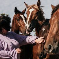 оригинальный звук