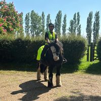 muddyboots_pony_therapy
