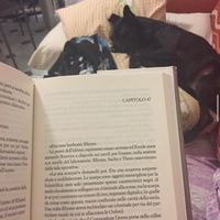 sara.che.legge