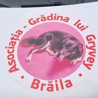 asociatiagradinalugryvey