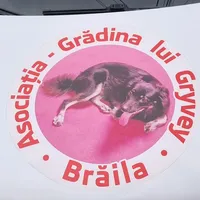 original sound - asociatiagradinalugryvey