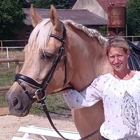 Jeder bekommt das Pferd das er braucht