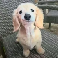 original sound - adix.017