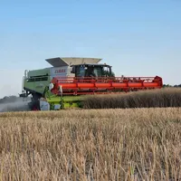 original sound - zottel1238