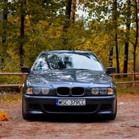 skowron_e39
