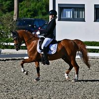favouritepony.rodi