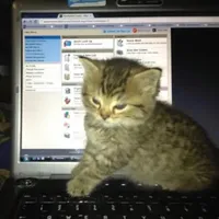 original sound - thuggingitout.01