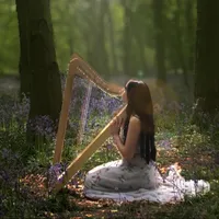 Under the Blossom Tree