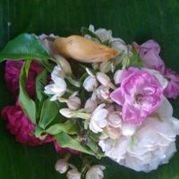 suara asli - sekti mondro guno