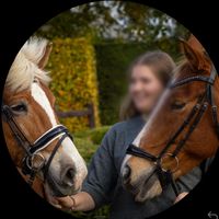 Lizzy.haflinger