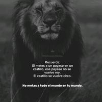 antoniomorales0370