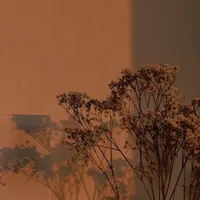 original sound - lanphan1632