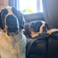 barneyandbella