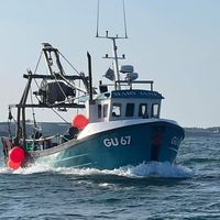 thehungryfisher