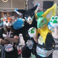 _astr0_on_paws_0