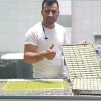 الصوت الأصلي