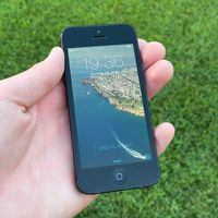 ._thatapplecollector_