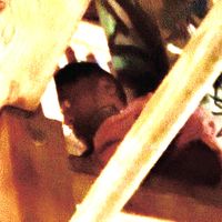 Sicarios de la curva tu cño es mi drga remix