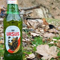 sunet original