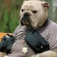 original sound - .emoral