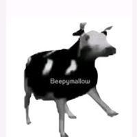 therealcowmeme
